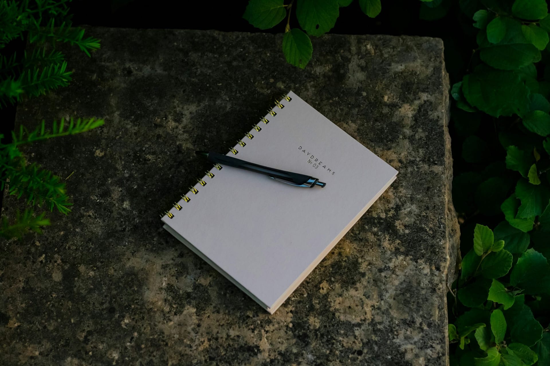 The One Habit I Didn’t Expect to Elevate My Life (But Truly Did)